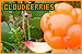  Plants/Flowers/Herbs - Cloudberries
