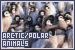  General Animals - Arctic/Polar Animals