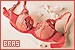  Clothing & Shoes - Bras
