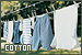  Prints & Fabrics - Cotton