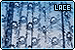  Prints & Fabrics - Lace
