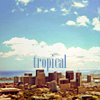 Honolulu: tropical